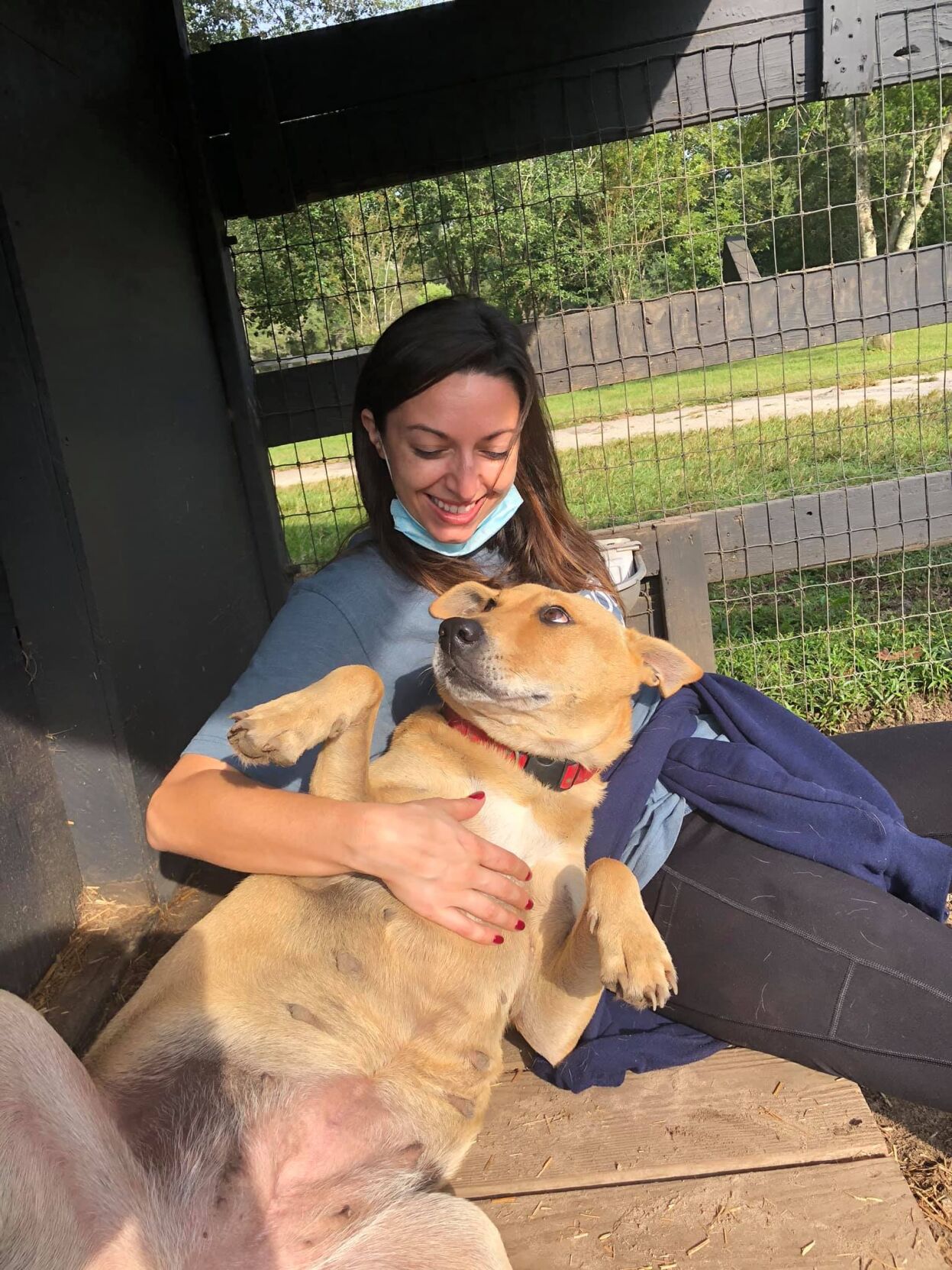 Family Pet Pros and Cons - Rosa